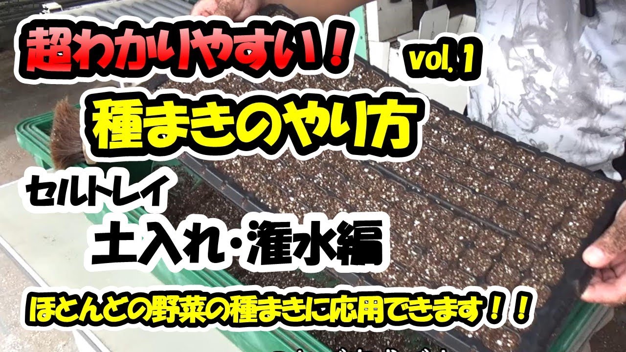 【育苗のプロが教える！】種まきのやり方vol.1「セルトレイ」～土入れ・潅水編～ほとんどの野菜の種まきに応用できます！
