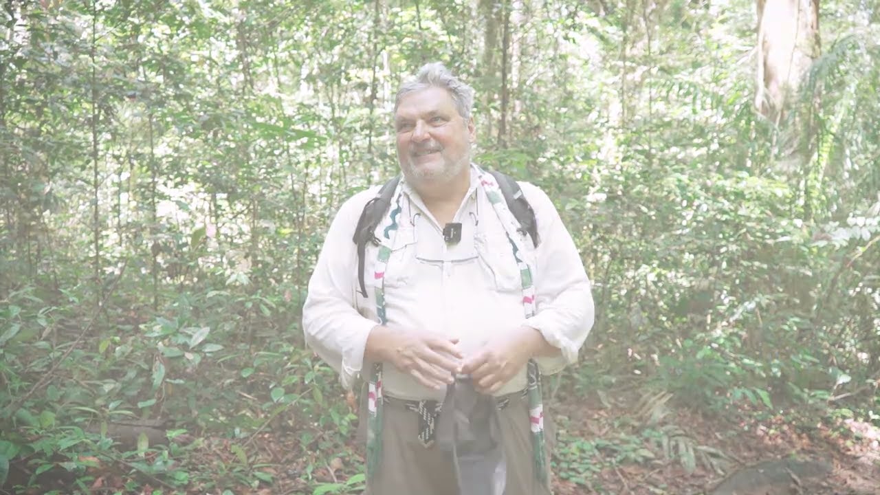 Daniel Barthelemy (CIRAD) nous parle du projet Pl@ntNet porté par One Forest Vision