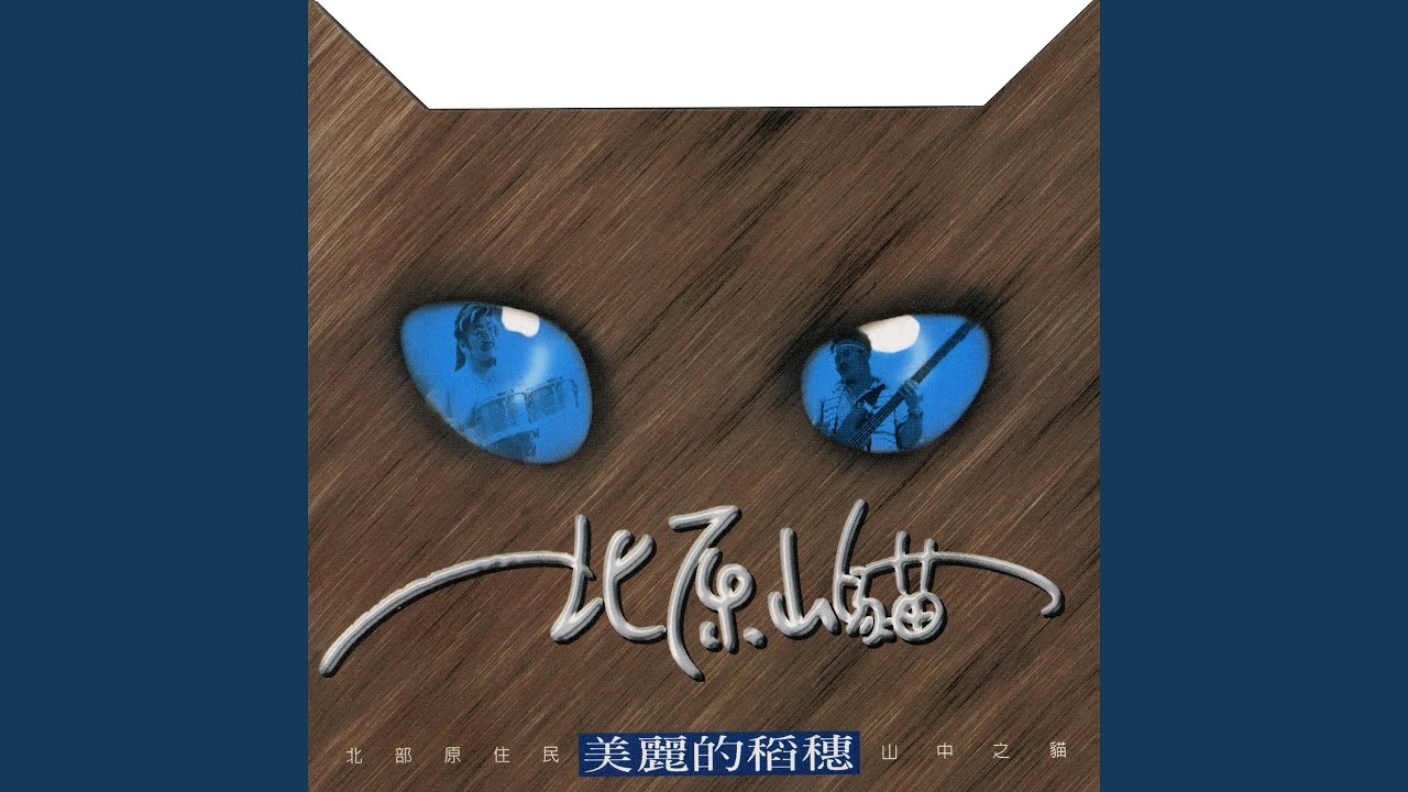 我該怎麼辦