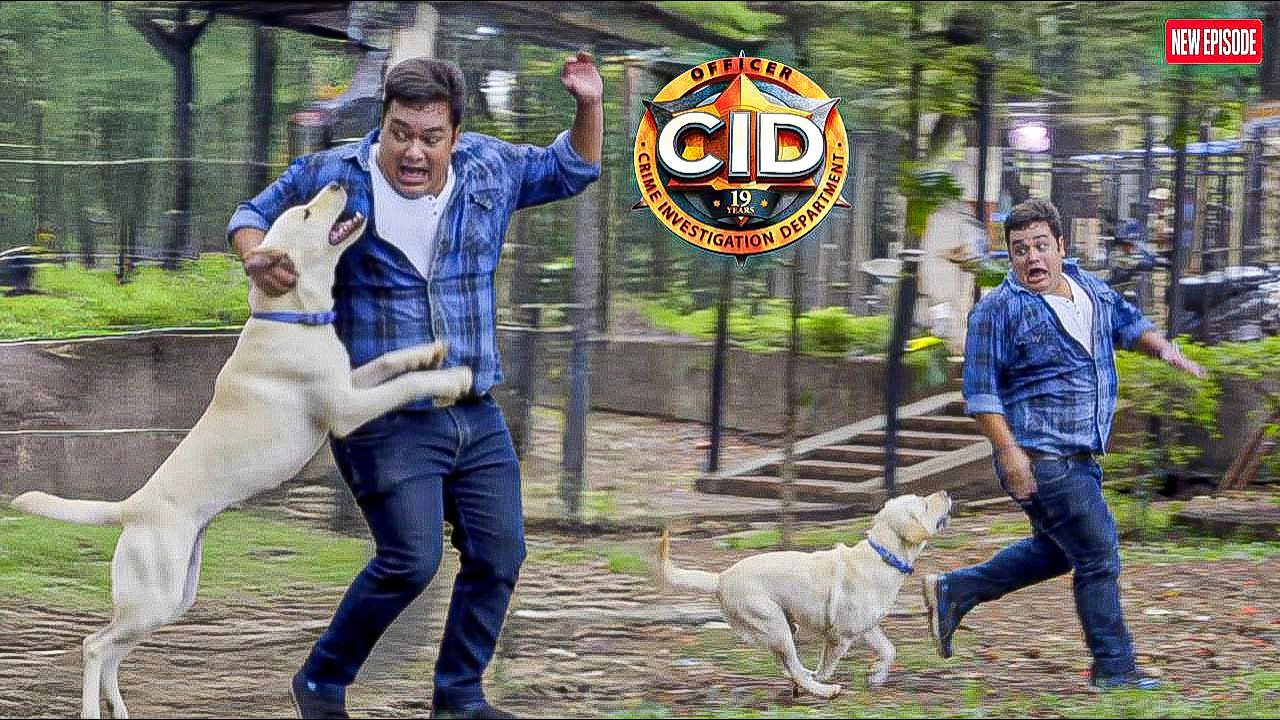 পঙ্কজের পেছনে কুকুর! CID টিমে হাসির ঝড় || CID BANGLA || NEW EPISODE