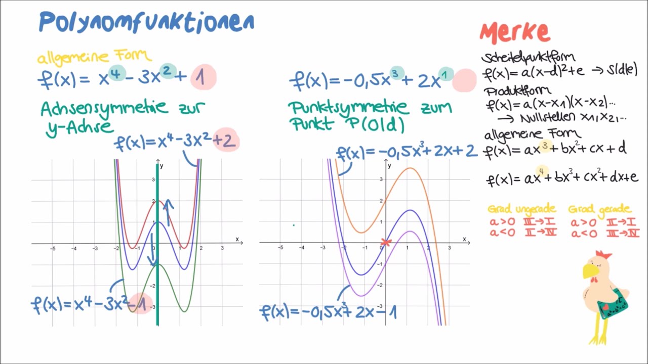 Polynomfunktionen