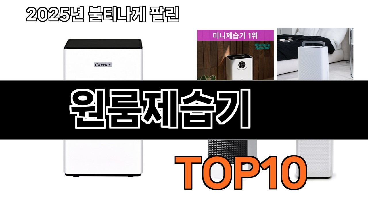 가장 인기 있는 원룸제습기 추천 BEST10
