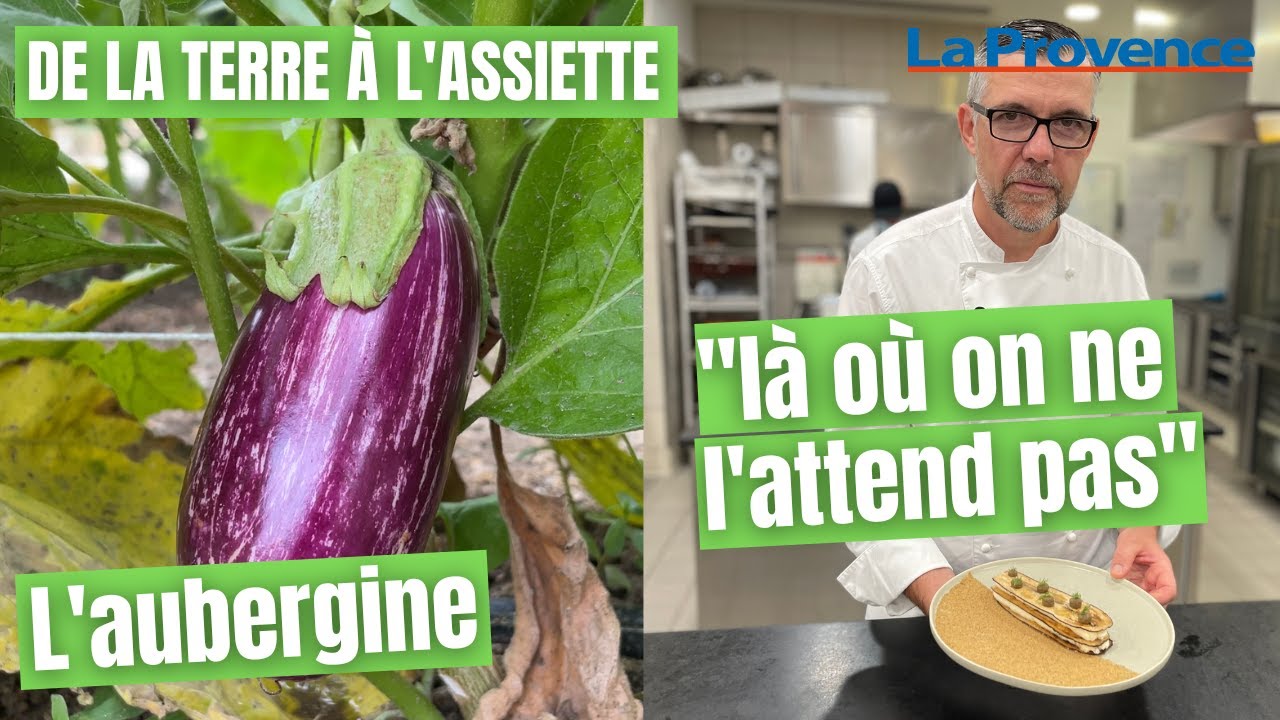 De la terre à l’assiette #6 : l’aubergine de La Cabro d'Or, 