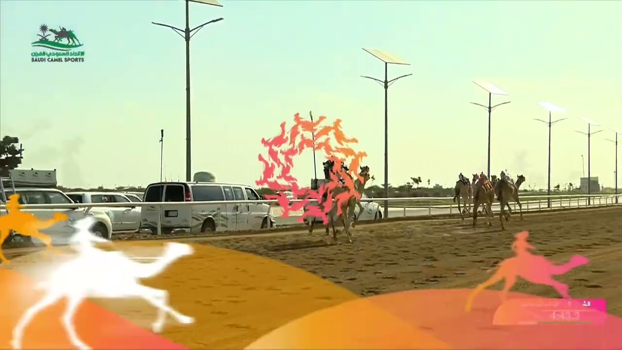 الشوط 8 لقايا قعدان مفتوح مساء يوم السبت 06-09-2025 من #مهرجان_ولي_العهد_للهجن 2025