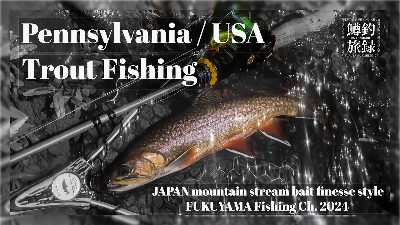 Pennsylvania🇺🇸TroutFishing (second part) Good Brown Trout-JAPAN 🇯🇵mountain stream bait finesse style