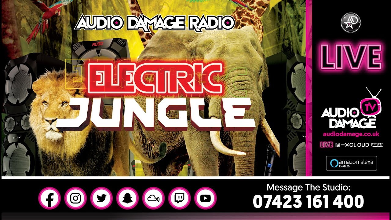 The Yorkshire Batman - Electric Jungle (Old Skool Jungle) LIVE Audio Damage Radio 9 -10pm (16.01.26)