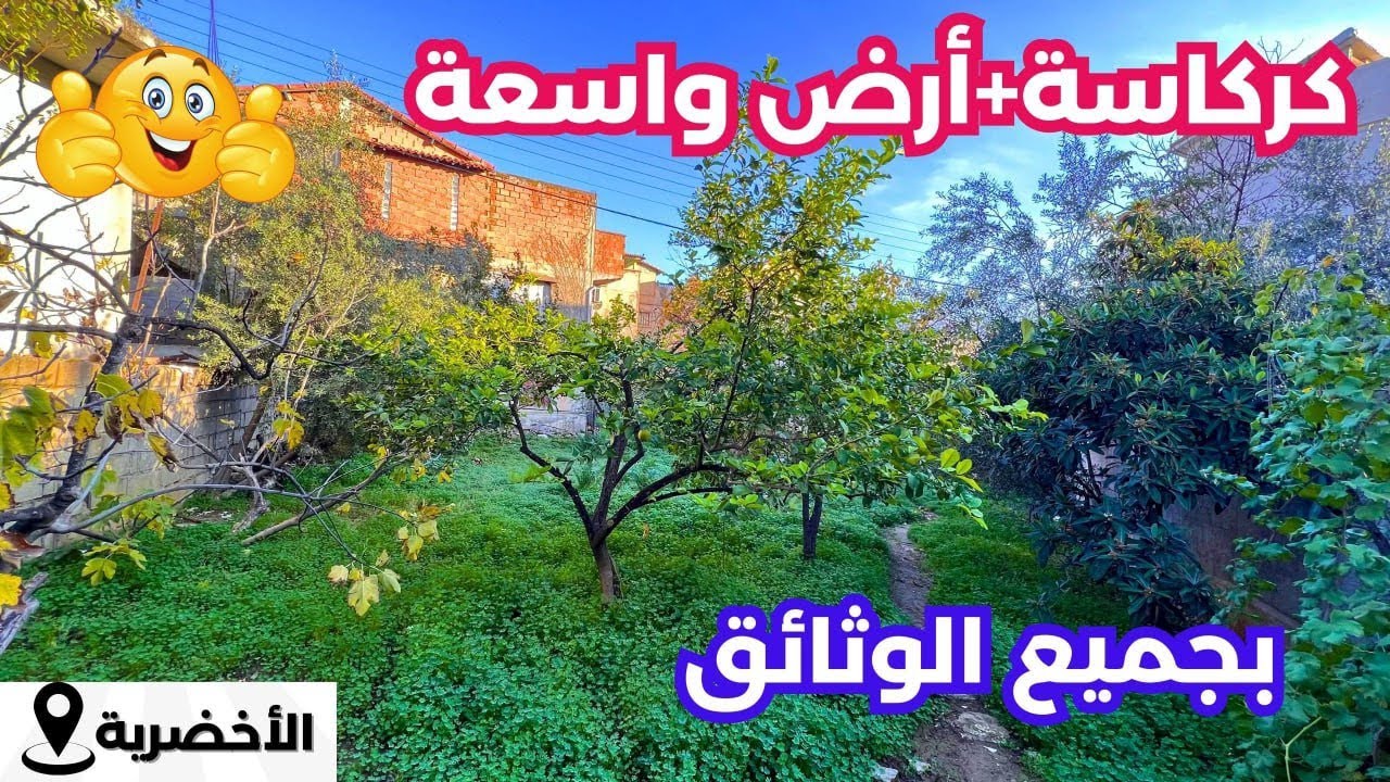 🚨#عقار_للبيع الأخضرية ولاية البويرة 🇩🇿بجميع الوثائق✅☎️الارقام:  0550509380//0550142732 #immobilier