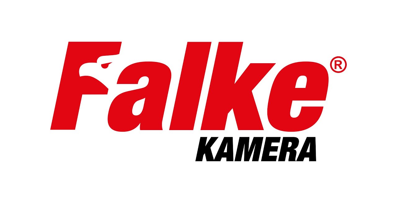 Falke 1080P WLAN Kamera IP, Full HD Überwachungskamera Einrichtung