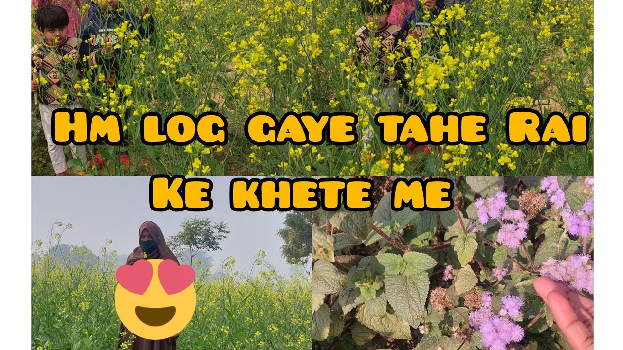 Hm log gaye Rai khet me sab baccho ke shat)♡》🥰😍#