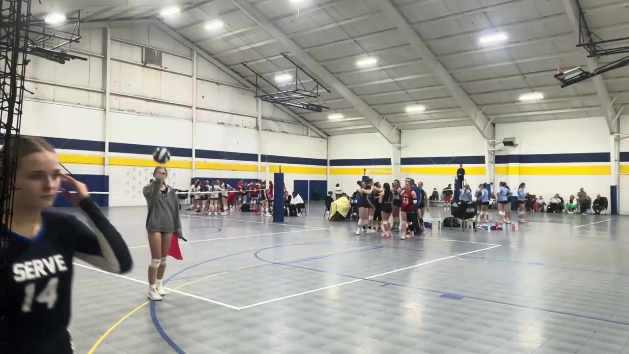 Hollywood 18s Heat : 16/17 DG Warriors Silver Set 2