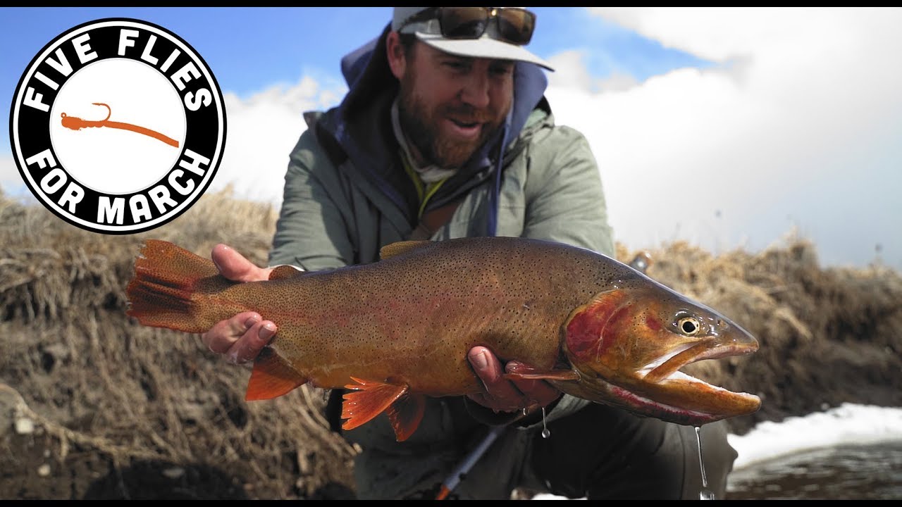 Five Flies for March 2019 - Fly Fishing the Dream Stream