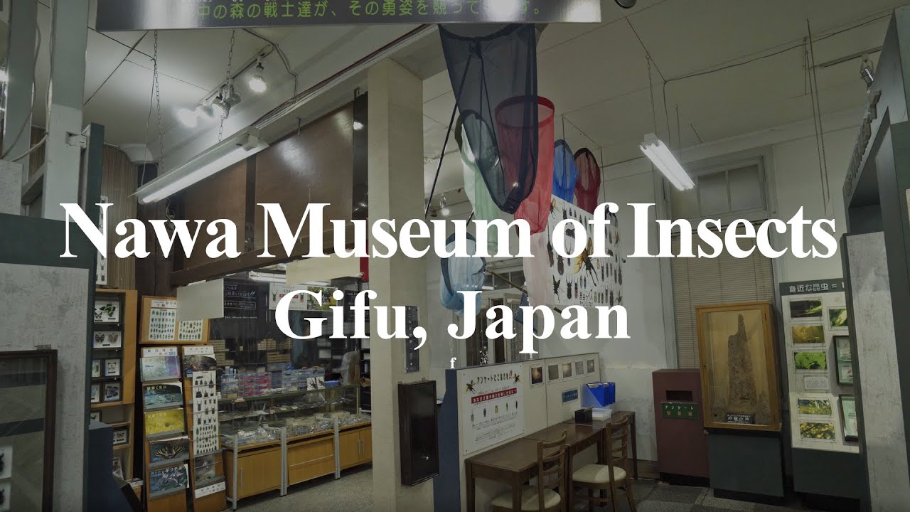 Nawa Museum of Insects, Gifu, Japan 4K
