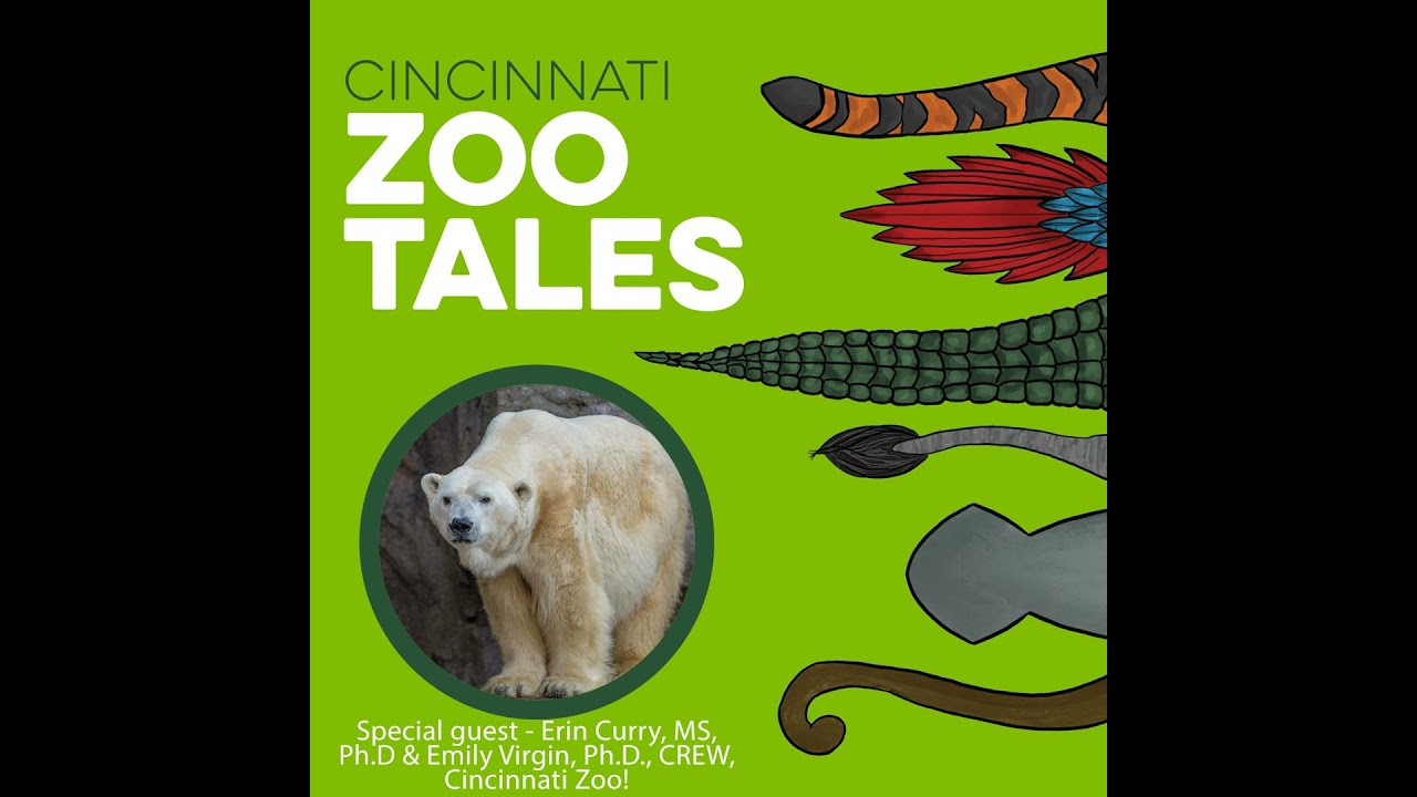 Erin Curry, MS, Ph.D & Emily Virgin, Ph.D., CREW, Cincinnati Zoo