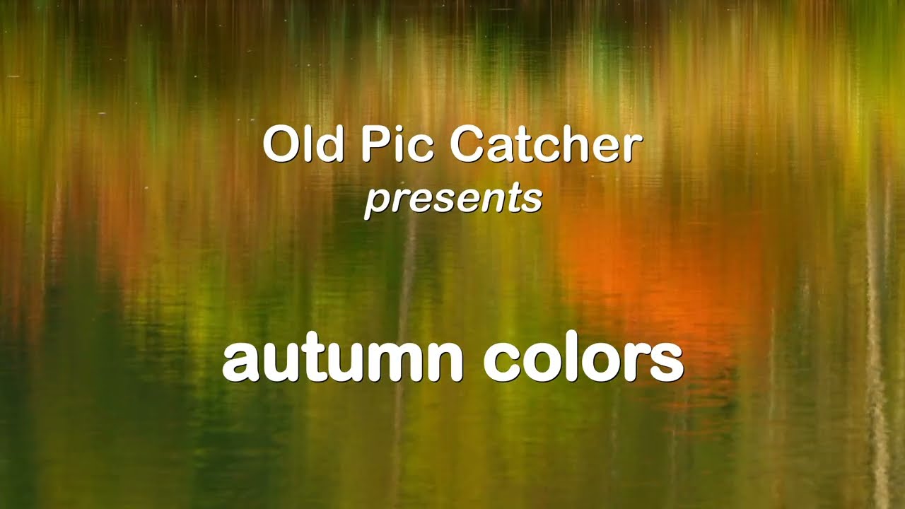 autumn colors