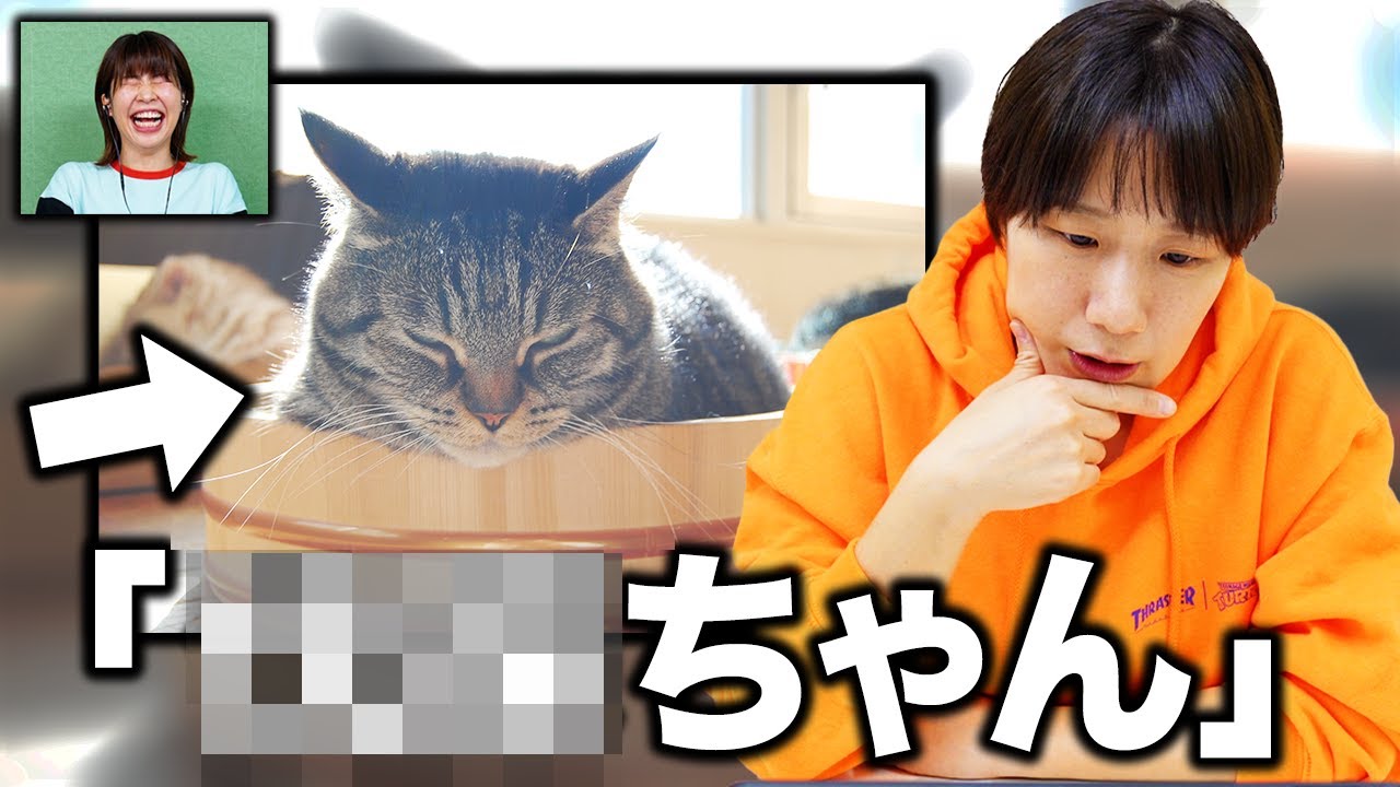 【100匹】猫の名前100匹分聞いたら村上がわかるかもしれない
