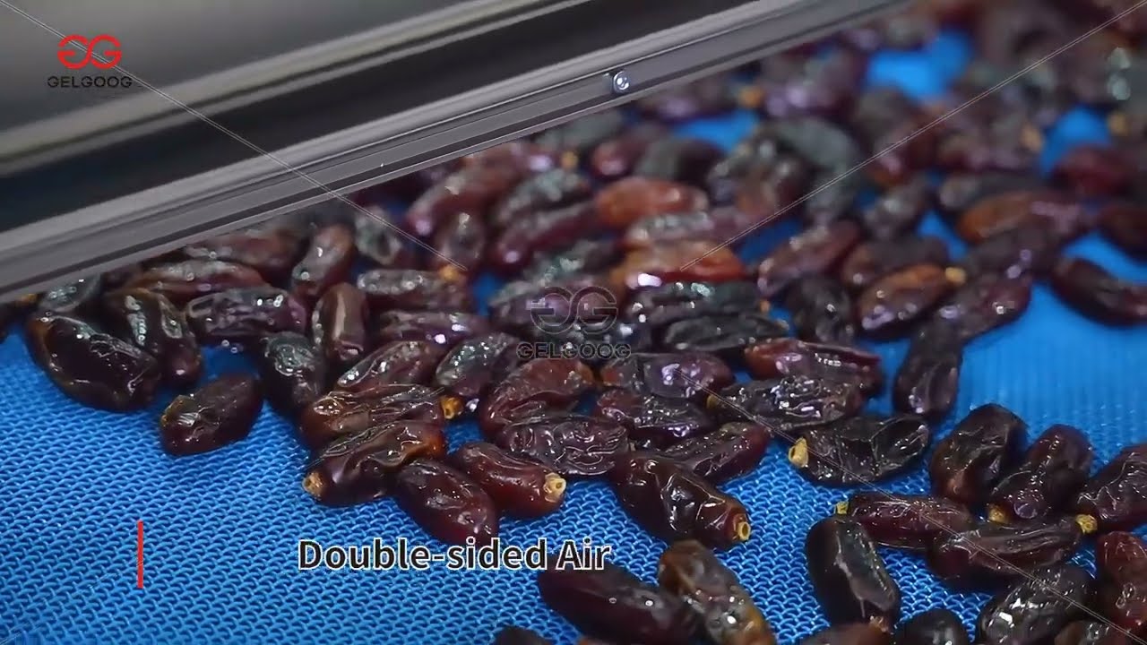 Dates Processing Line With Washing Drying And Packing