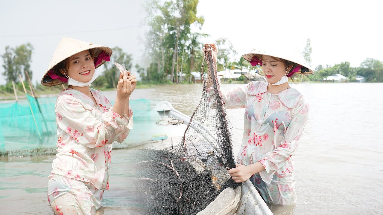 Cùng Bích Hương Và Cha Đi Kéo Lưới