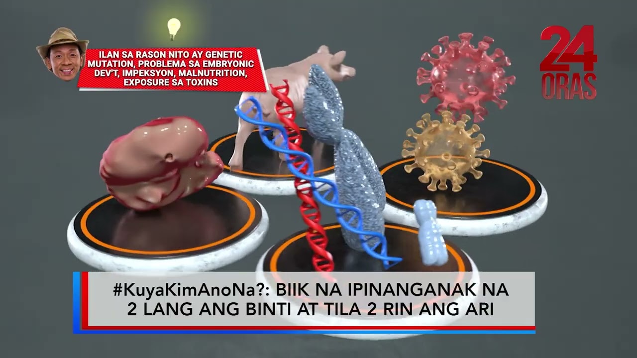 #KuyaKimAnoNa?: Biik na ipinanganak na 2 lang ang binti at tila 2 rin ang ari #shorts | 24 Oras