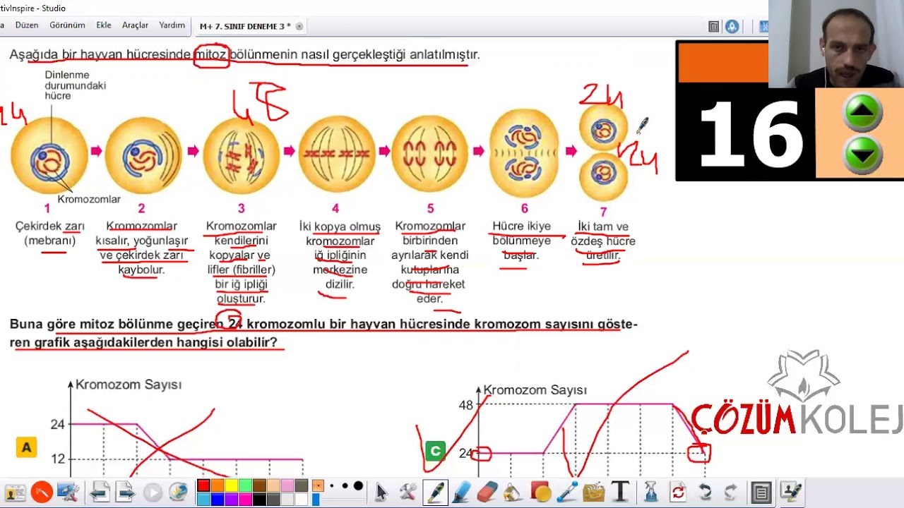M+ 7  SINIF DENEME 3