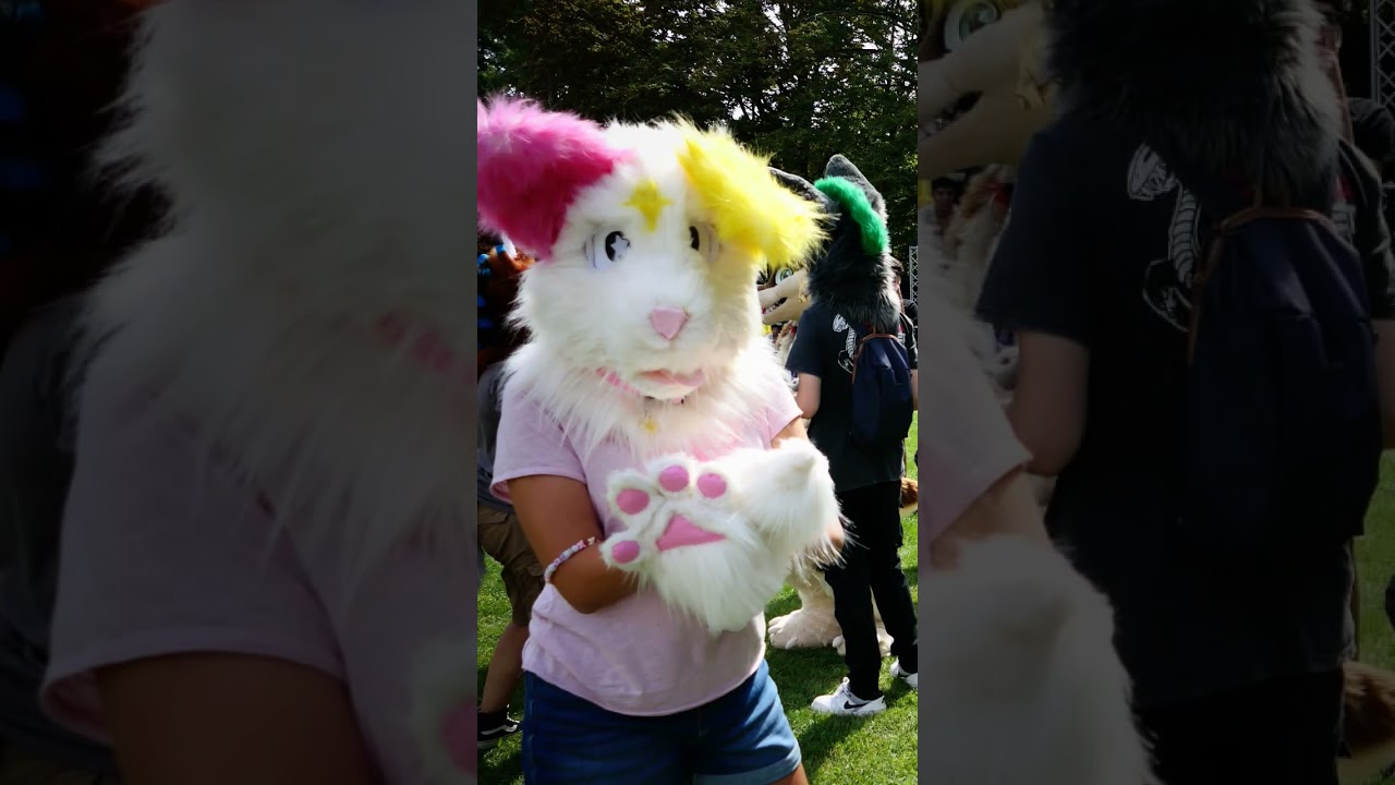 some pictures of my first furmeet🩷💛
