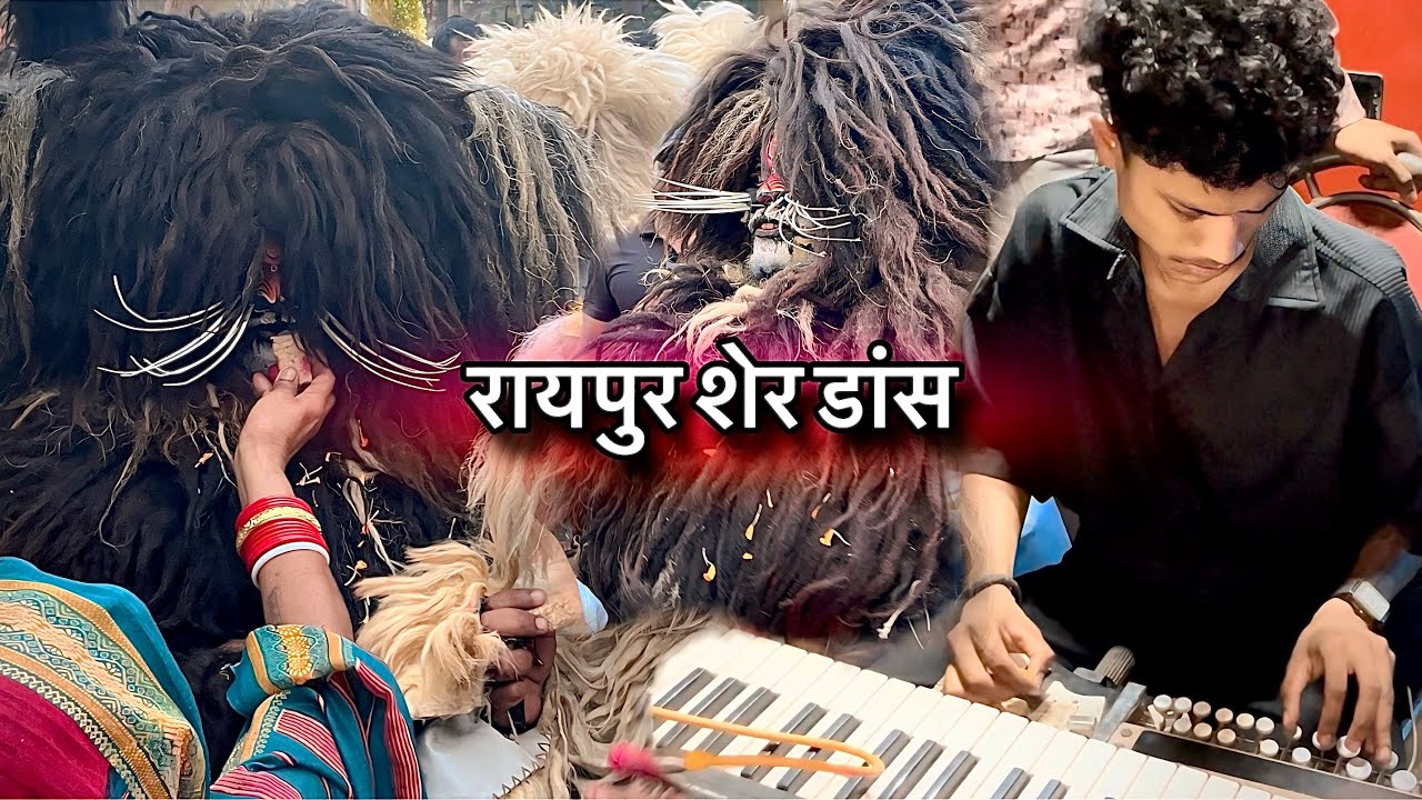 राजधानी का शेर डांस 🔥 | Raipur Mohrram 2024 Full Public ( Ft. Raj dhumal Durg )