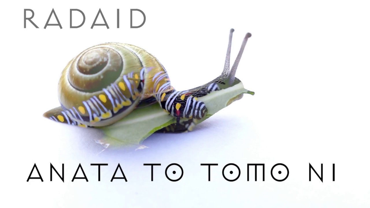 Radaid - Anata to tomo ni (Official Lyric Video)