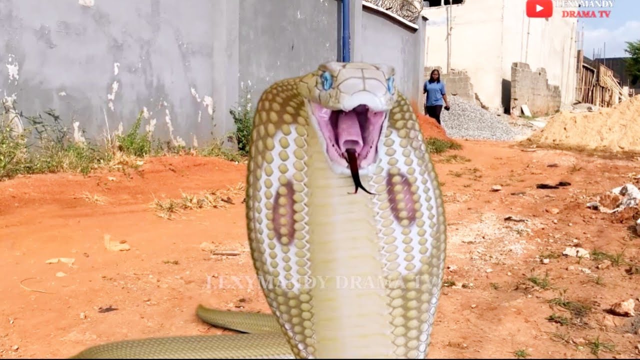 THE SNAKE GIRL |LATEST 2026 MOVIE