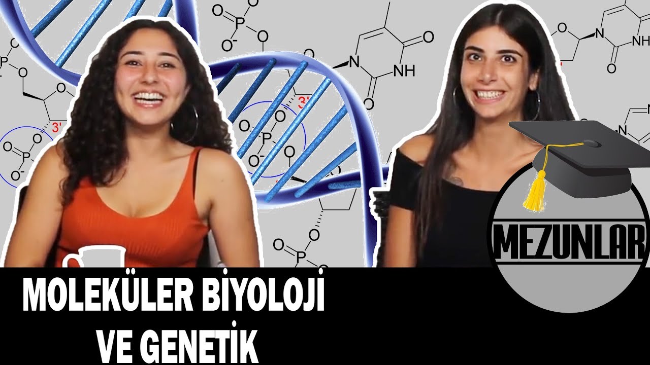 10 SORUDA MOLEKÜLER BİYOLOJİ VE GENETİK