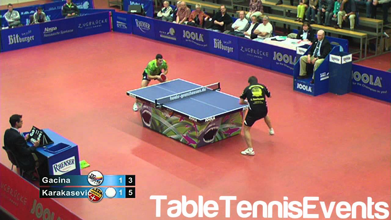 Aleksandar Karakasevic Vs Andrej Gacina: Match 2 [German league 2012/2013]
