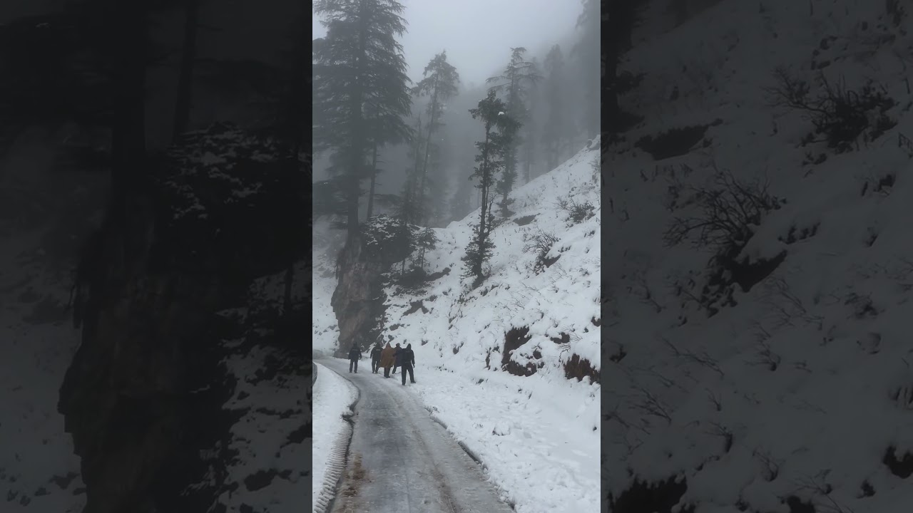 Chakrata in winters #chakrata #moilatop #uttarakhand