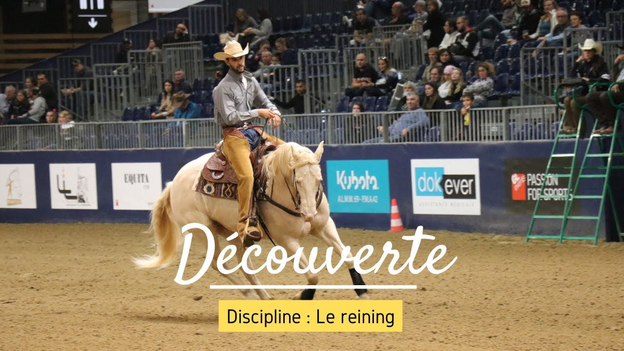 [DECOUVERTE] Discipline : le reining
