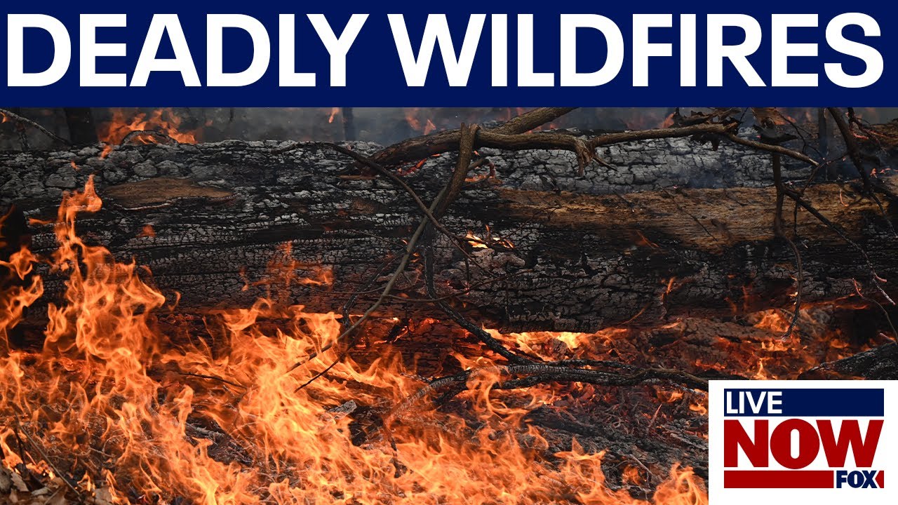 NJ wildfires spread to NY, warnings issued after 1 dies | LiveNOW from FOX
