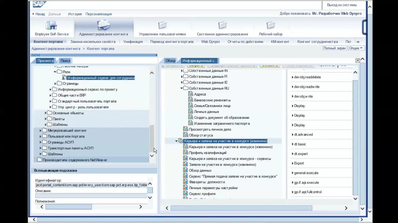 ABAP WebDynpro 04/10