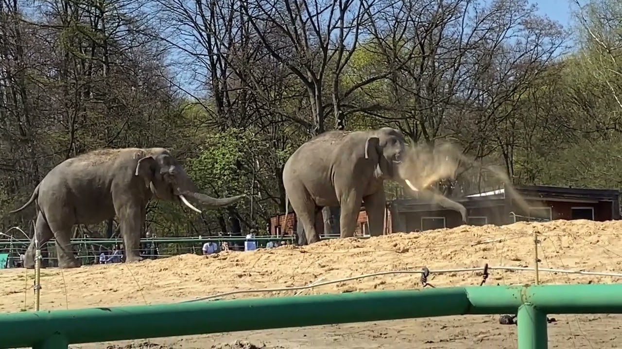 KATOWICE ZOO   ABRIL 2023