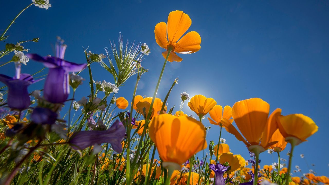 Spring is Here..