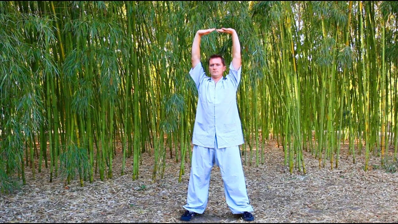 Yi Jin Jing- Muscle tendons change classic - Mutation des muscles et tendons part 1 - Qi gong