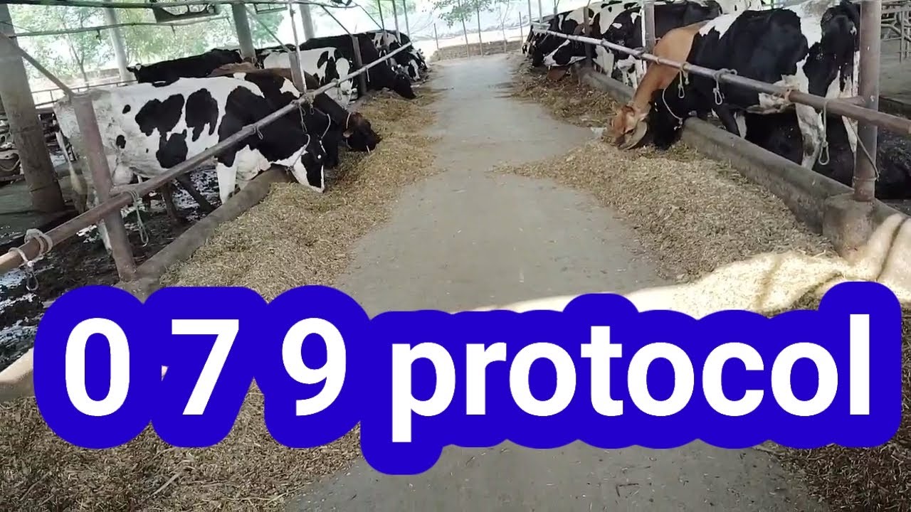 079 gpg protocol full details