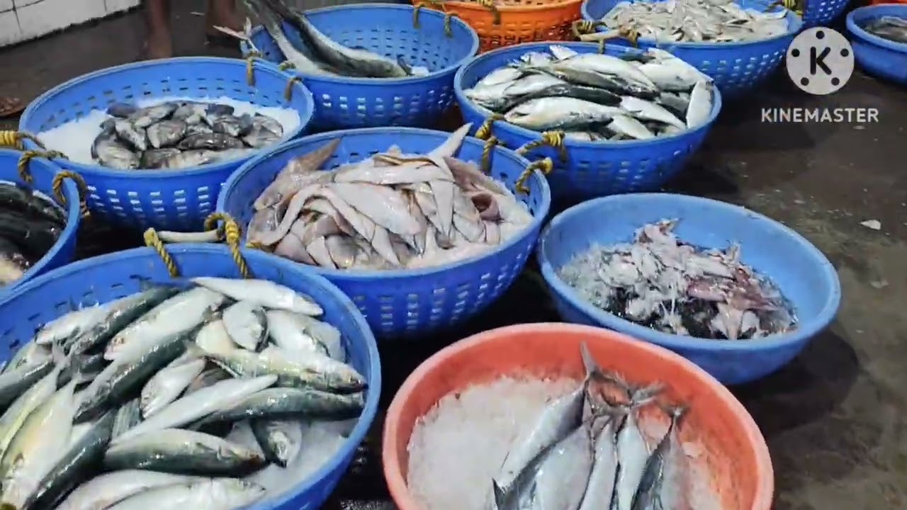 Fish Market Betim Goa #wholesale #fish #market #betim #northgoa #mandovi #fresh #2025 #fishmarket #1