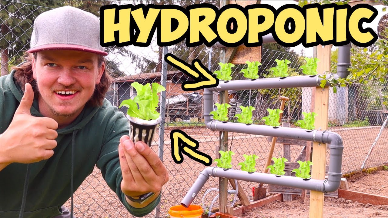 HYDROPONIC ANLAGE AUTARK für unseren GARTEN - GARTENUMBAU #8