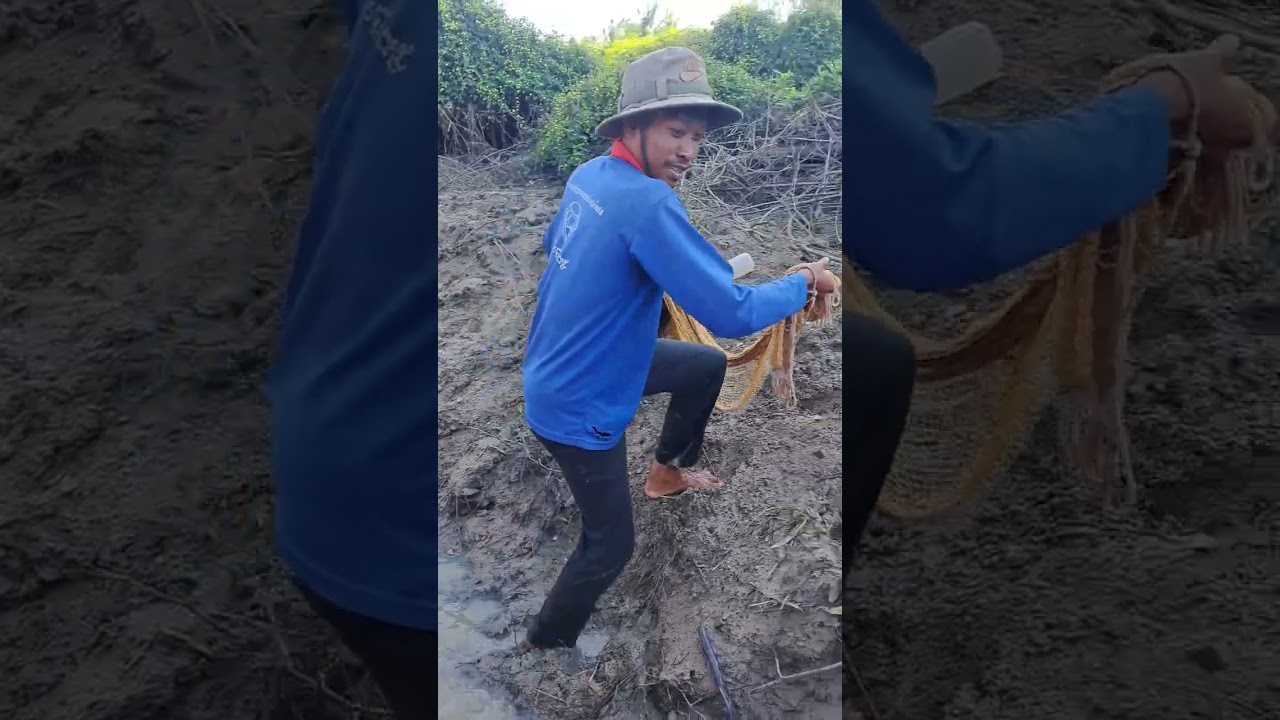 របៀប ជើកអន្ទង់ក្រាំង តាមវាលស្រែ​ - how to catching big eels​ at rice field