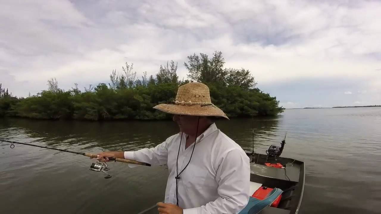 Vero Beach, Florida fishing with manatees dolphins and sharks