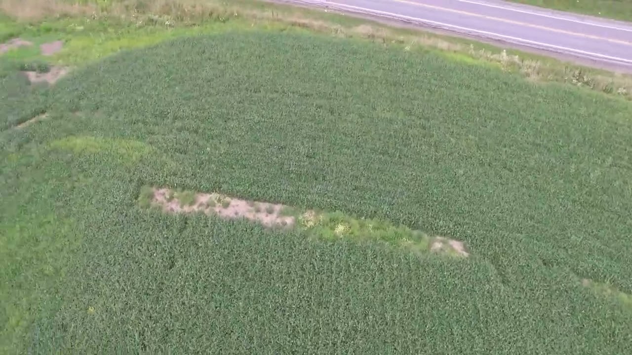 Lost RV