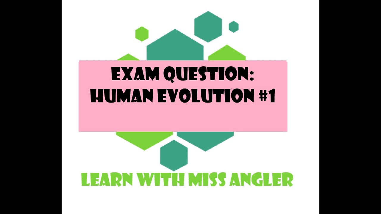 GR 12 EXAM QUESTION: Human Evolution #1
