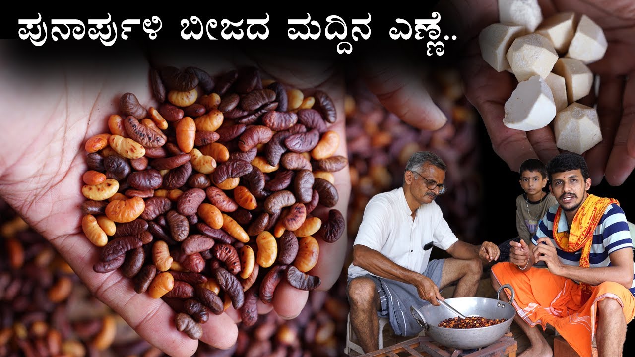 Kokum Butter making | Traditional method | Homemade moisturizer | ಪುನಾರ್ಪುಳಿ ಬೀಜದ ಎಣ್ಣೆ