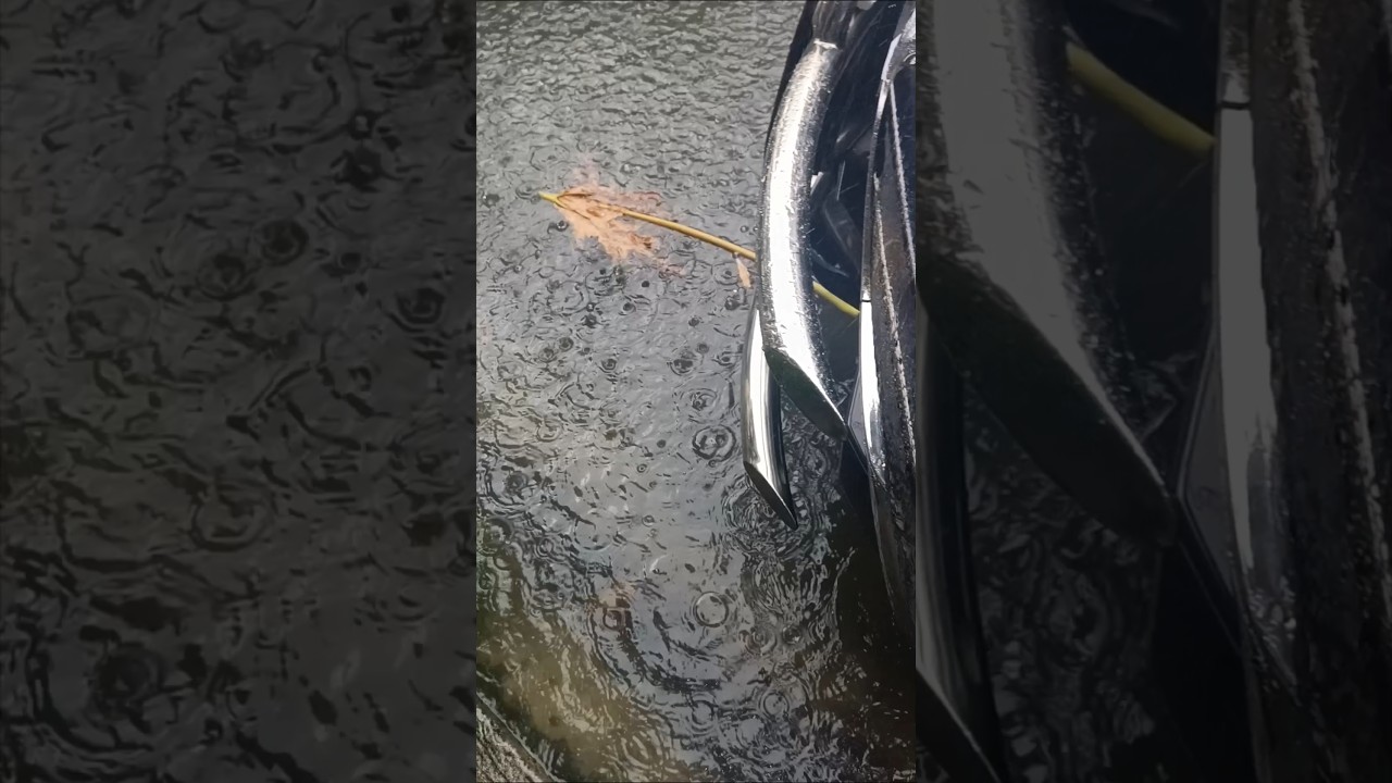 flood #floodalert#trending  #floodawareness #youtubeshorts