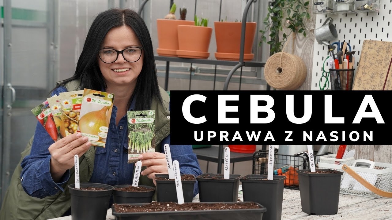 JAK SIAĆ CEBULĘ I POR. Co siać w lutym. Uprawa cebuli z nasion. Kalendarz ogrodnika. NO DIG