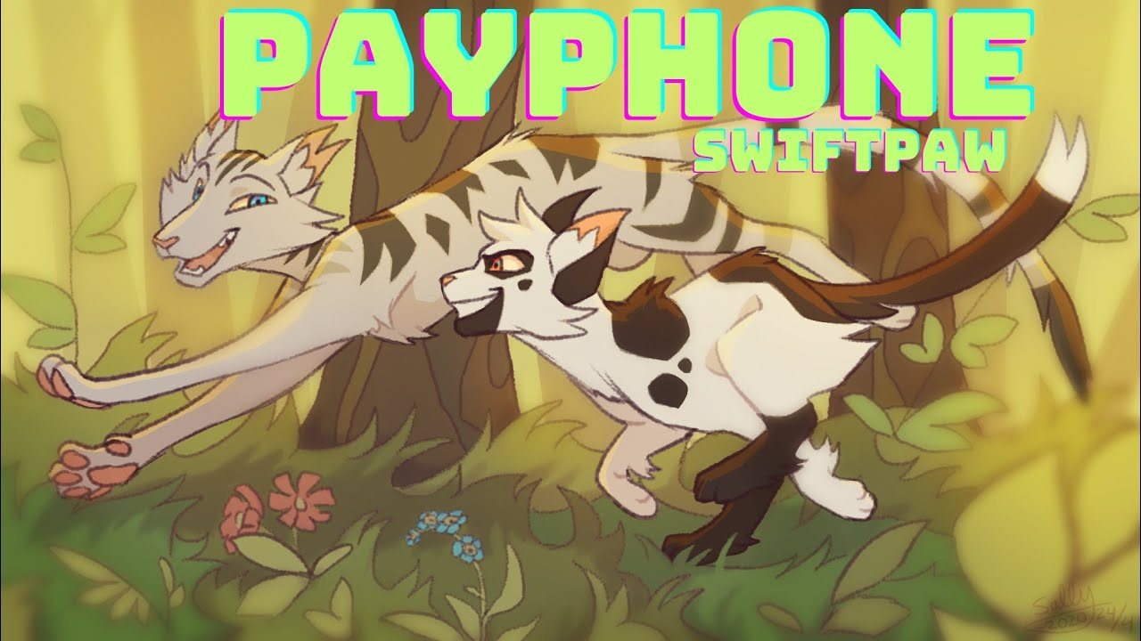 Swiftpaw • Payphone • warriors cats