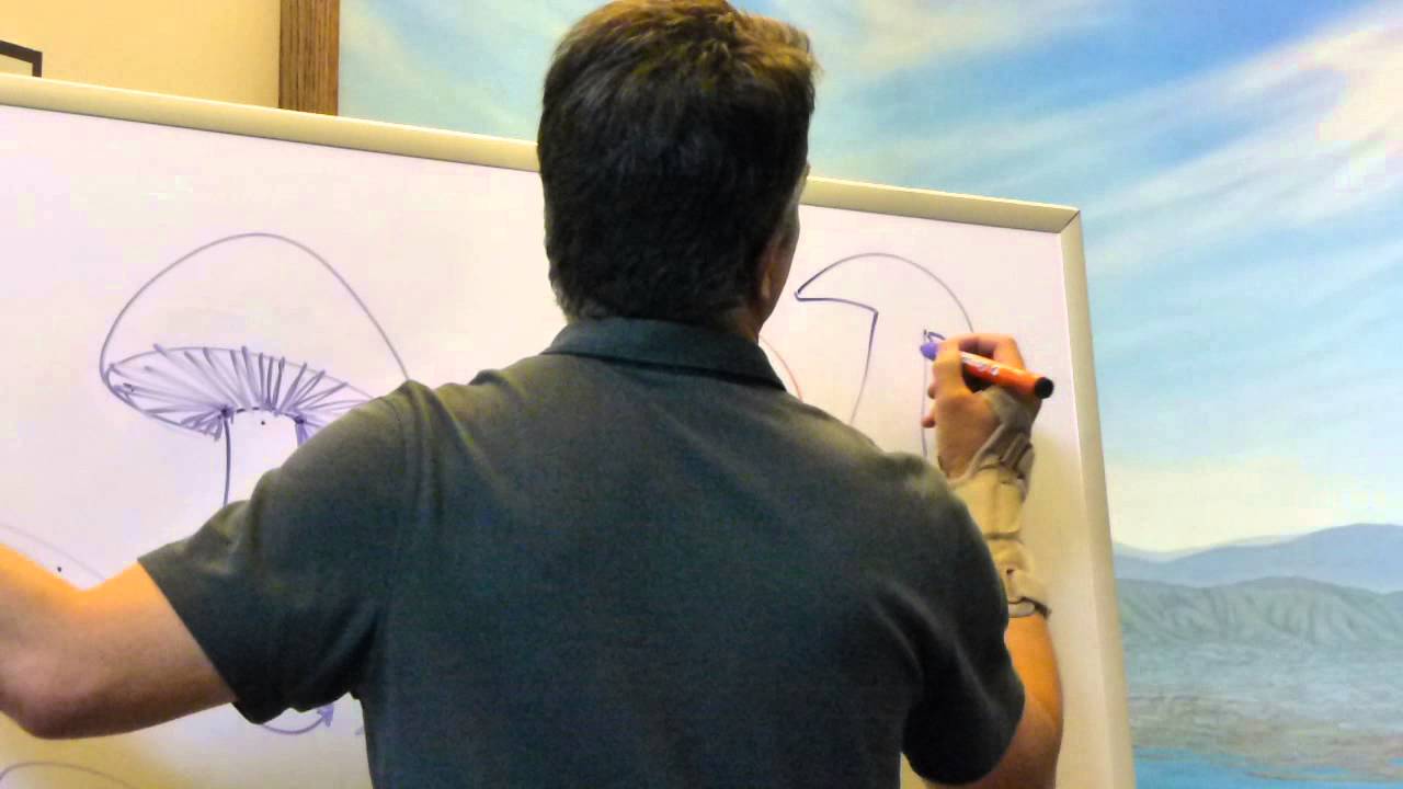 How to Draw Mushrooms (1 of 3)