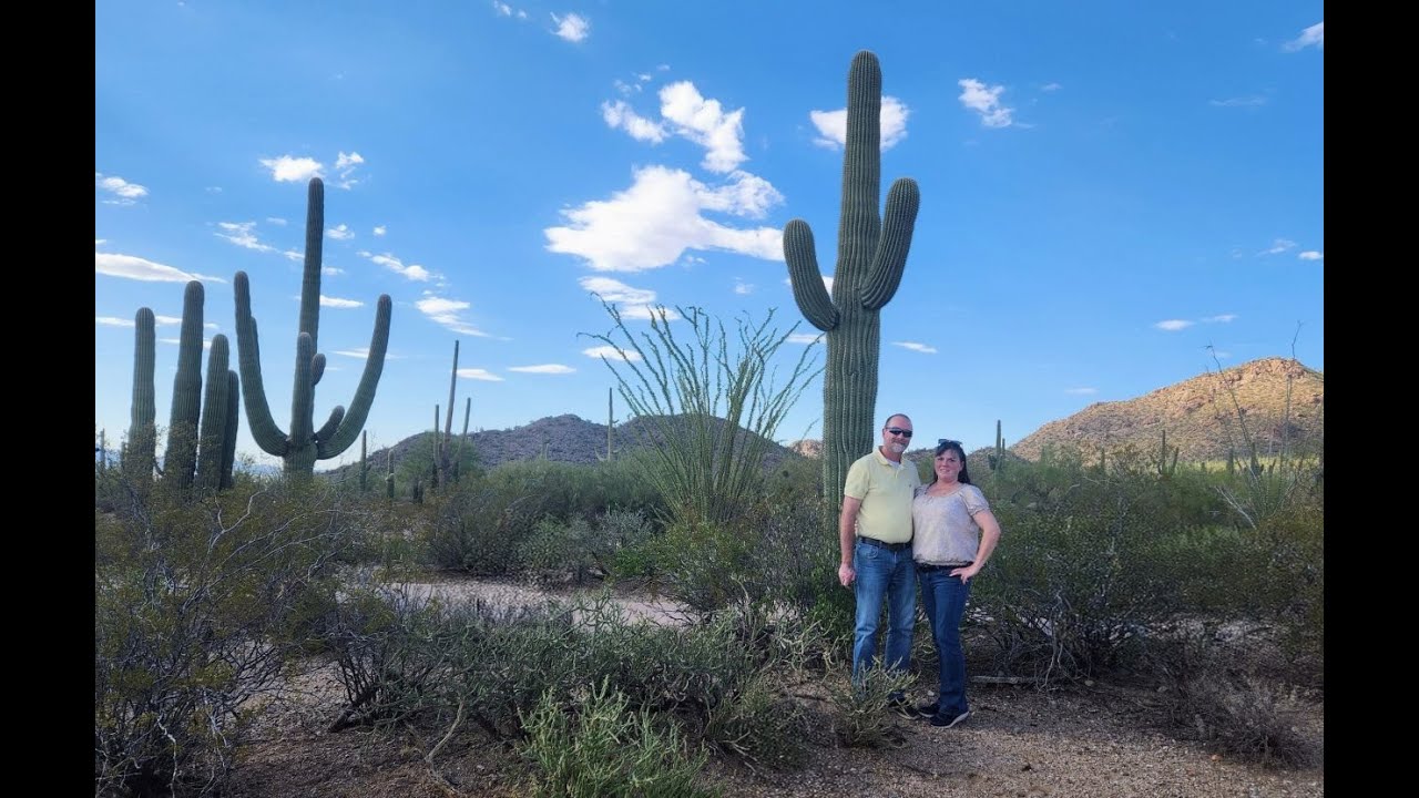 Saguaro National Park Cactus East and West Loops Tucson Arizona 2025
