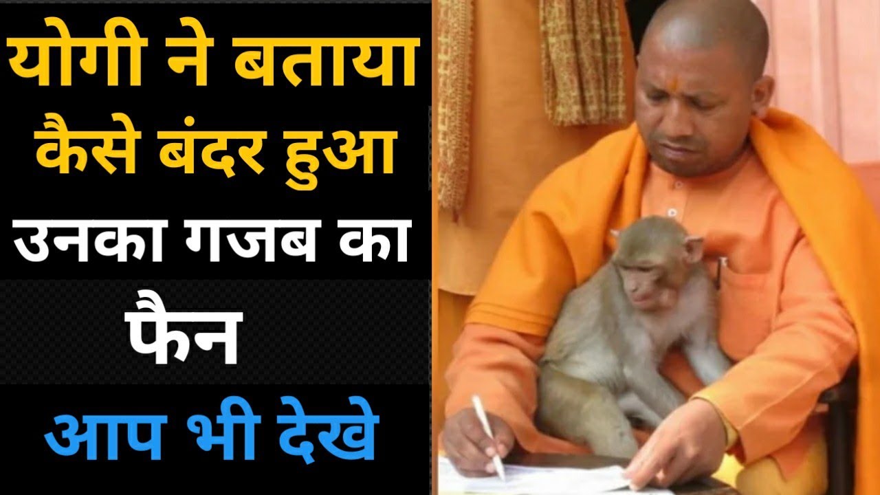 An Inspirational Monkey Story Of Yogi Adityanath 🕉️ | Heart Touching Video | Gorakhpur News